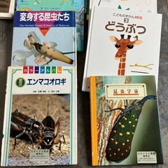 絵本　児童書　まとめて　
の画像