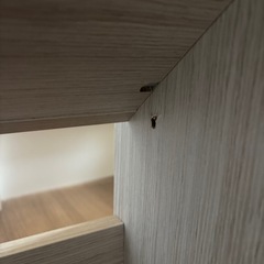 【お話中】絵本ラック　本棚の画像