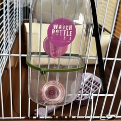 小動物用ケージの画像