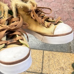 Heelys（ヒーリーズ）の「Zoo Crew」シリーズ、ライオンデザインのローラーシューズ　22インチの画像