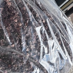 蕎麦殻　　５袋で1,000円の画像