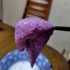 紫山芋のむかご（種）約1㎏　③の画像