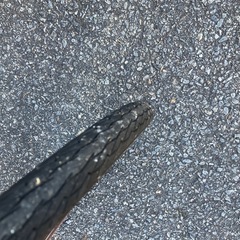 ⭐︎不具合なし⭐︎ クロスバイク 自転車 ママチャリ の画像