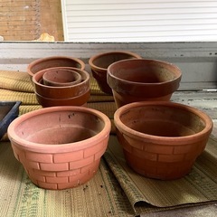 プランター　花瓶の画像