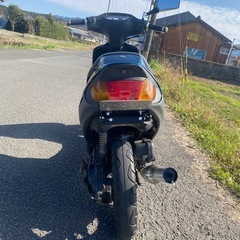 希少セピア50決まりましたの画像