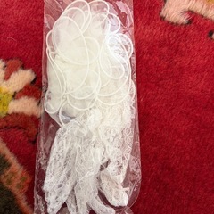 お子様にも！ベール、ティアラ、手袋
の画像