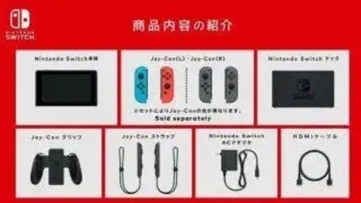 【美品/有線LANアダプタ・ケース付】Nintendo switch本体