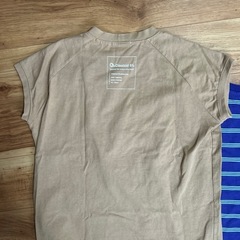 レプシム　classical Elf 　の画像