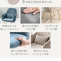 チェア《ベロア×白脚》の画像