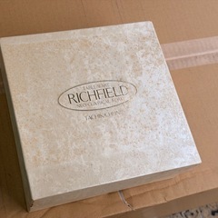 当時物⭐️たち吉製⭐️リッチフィールド⭐️フォルス　スパゲッティ皿⭐️の画像