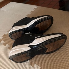 お引越しで22日まで｡男性用スニーカーの画像