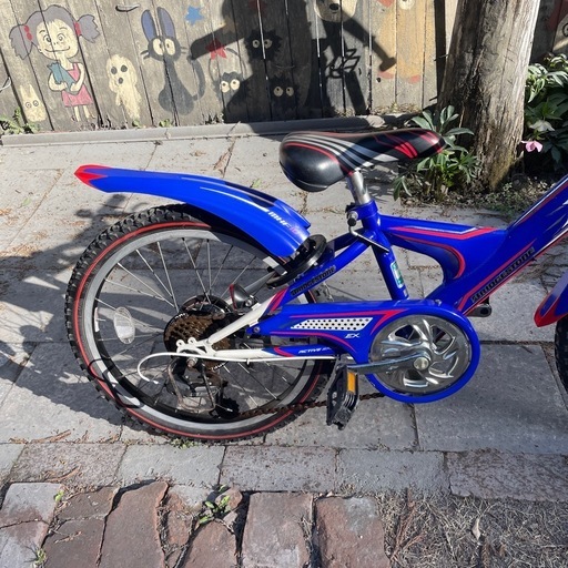 【5897】子供車　ブリヂストン　20インチ　13,800円（防犯・税込）