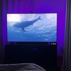 無料・引き取り限定】55インチTV一式セット（Hisense/IKEA/サウンドバー等・立川市）の画像