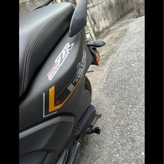 シグナスの画像