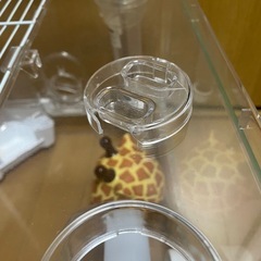 シャイニー45（ハムスター用ケージ）の画像