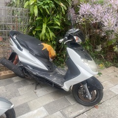 シグナス   2型　44           の画像