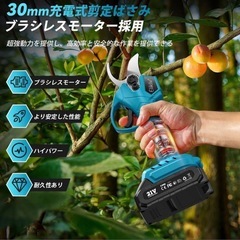 【Elikliv 5WAY 電動剪定ツール】充電式 高枝切り ポールヘッジトリマーの画像