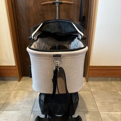 AIRBUGGY WIZ  （旧型）　エアバギー ペットカート の画像