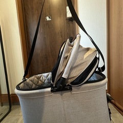 AIRBUGGY WIZ  （旧型）　エアバギー ペットカート の画像