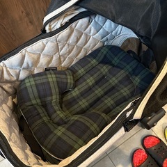 AIRBUGGY WIZ  （旧型）　エアバギー ペットカート の画像