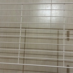 折りたたみ収納ラック　白色　4台　棚　物置の画像