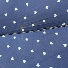 wpc　雨傘の画像