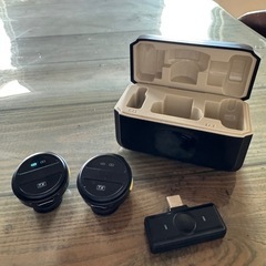 ピンマイク(TYPE C用)の画像