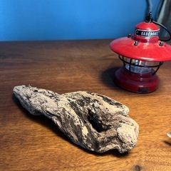 20 波柄のお皿風〜流木、天然物、インテリア、オブジェの画像