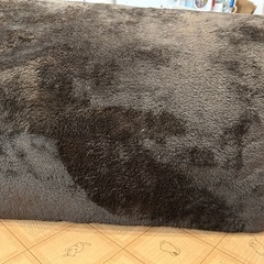 代理投稿　
おうちの画像