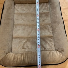 代理投稿
ペットマットの画像