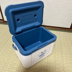 クーラーボックス　スヌーピーの画像