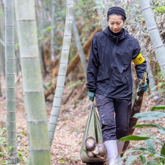 【春の期間限定】糸島メンマ（巨大タケノコ）の収穫スタッフ募集！未経験歓迎の画像