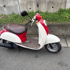 AF55 クレアスクーピー　 ホンダ　4サイクルの画像