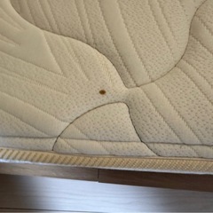 フランスベッド マットレス セミダブル ZT-030の画像