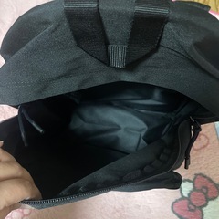 ラコステリュックの画像