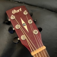 Cort SFX1F TWB エレアコの画像