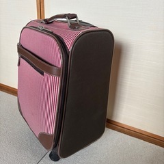 キャリーバッグの画像