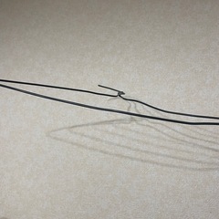 ハンガー30本の画像