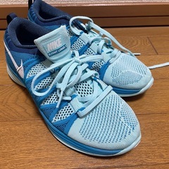 25.5cm NIKEランニングシューズの画像