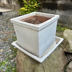 植木鉢 プランターの画像