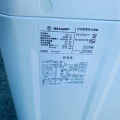 🌸SHARP 全自動電気洗濯機  ES-GE6F-Tの画像