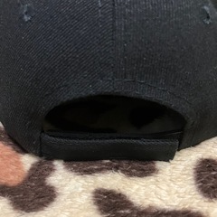 激レア！オペレーションIVYキャップの画像