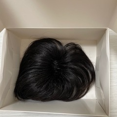 人毛　　部分ウィッグ
の画像