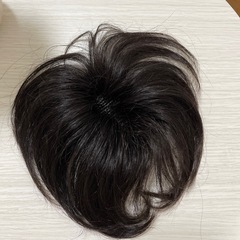 人毛　　部分ウィッグ
の画像