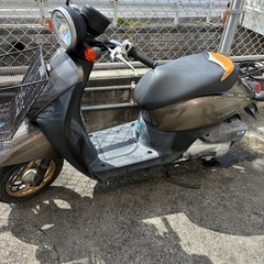 原チャリ　ホンダ
トゥデイの画像