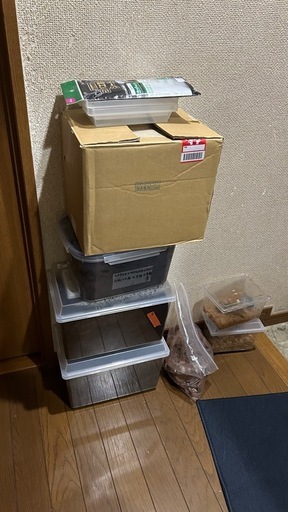 クワカブ、小バエシャッター、ヘラクレス幼虫