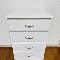 ドウシシャ チェストの画像