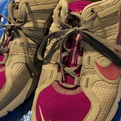 女性用オニツカタイガー、NIKEスニーカーの画像