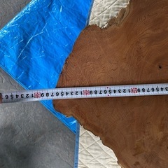 欅のいたの画像