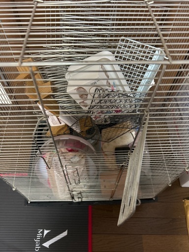 デグー用飼育セット　飼育ケージ